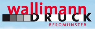 Medienarbeit unterstützt durch Wallimann Druck + Verlag AG